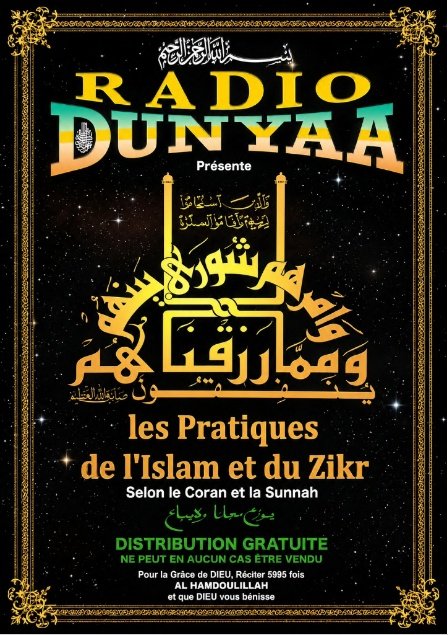 Couverture du livre Les Pratiques de l'ISLAM et du ZIKR