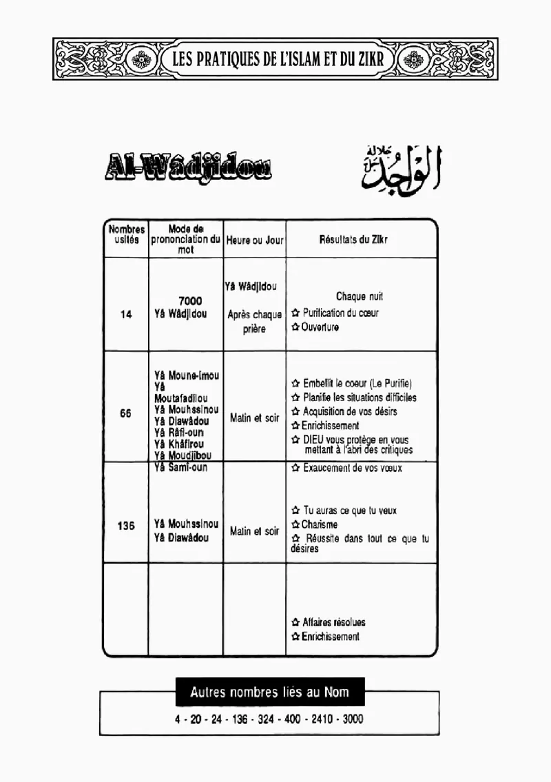 Page 245 du livre — Al-Wâdjidou