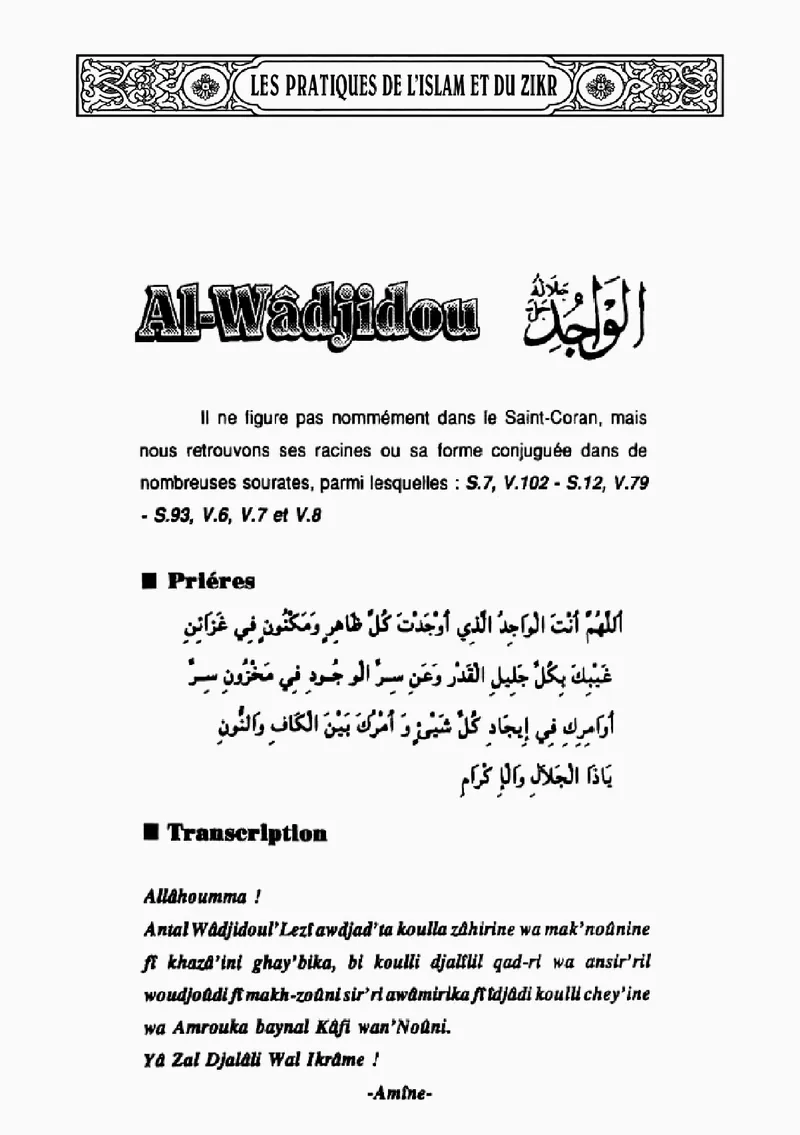 Page 246 du livre — Al-Wâdjidou